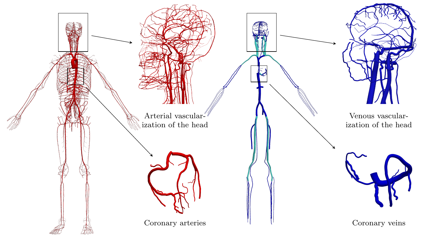Computational Bodily Fluids